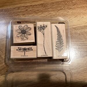 Stampin’ Up Organic Grace